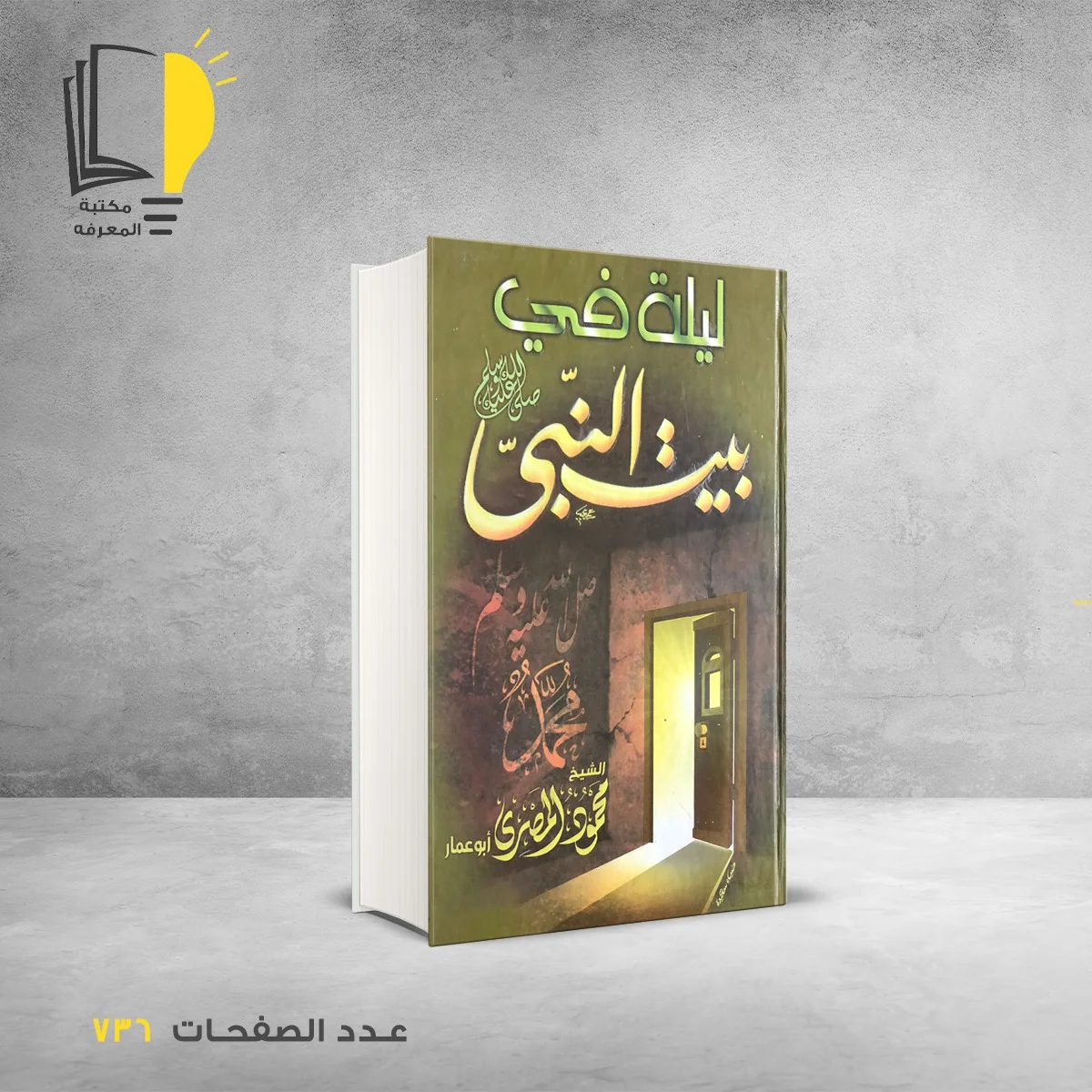 ليلة في بيت النبي محمود المصري